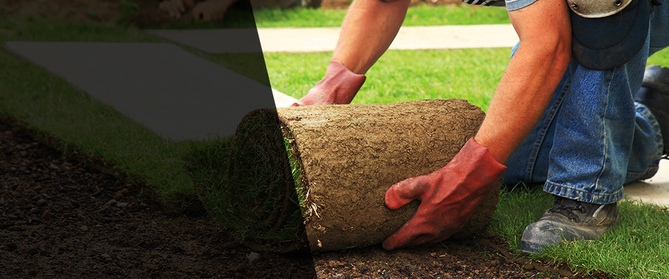 Plattsburgh Landscapers